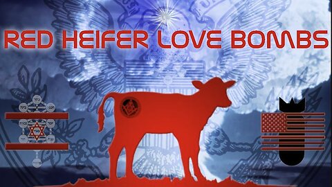 Red Heifer Love Bombs & Ashes from a Black Magic Barbeque...| the Truth is stranger than fiction