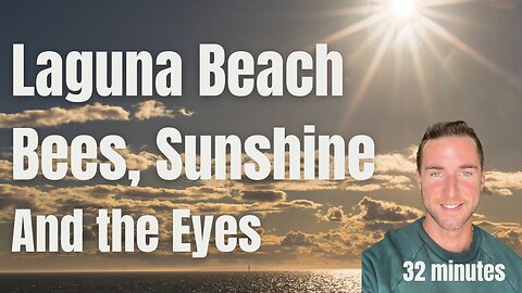 Laguna beach, Sunshine, Bees, and eyesight tips Laguna beach, Sunshine, Bees, and eyesight tips