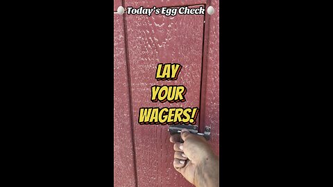 🐔🥚 Today’s Egg Check! 🥚 #shorts