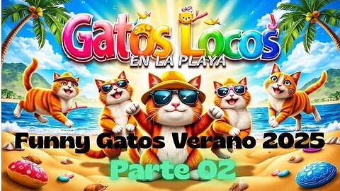 Funny Gatos Verano 2025 Parte02