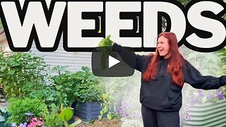 Your Weeds Aren’t Random—Here’s What They Really Mean
