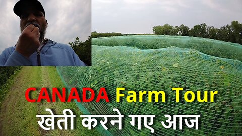 CANADA Farm Tour कनाडा के खेती करने गए आज #canada #samraatbharat #rawat #samraatbharat #viral