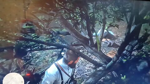 red dead redemption 2 blood feud mission secret fortune