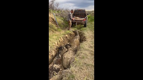 the deep mud is holding like a suction cup