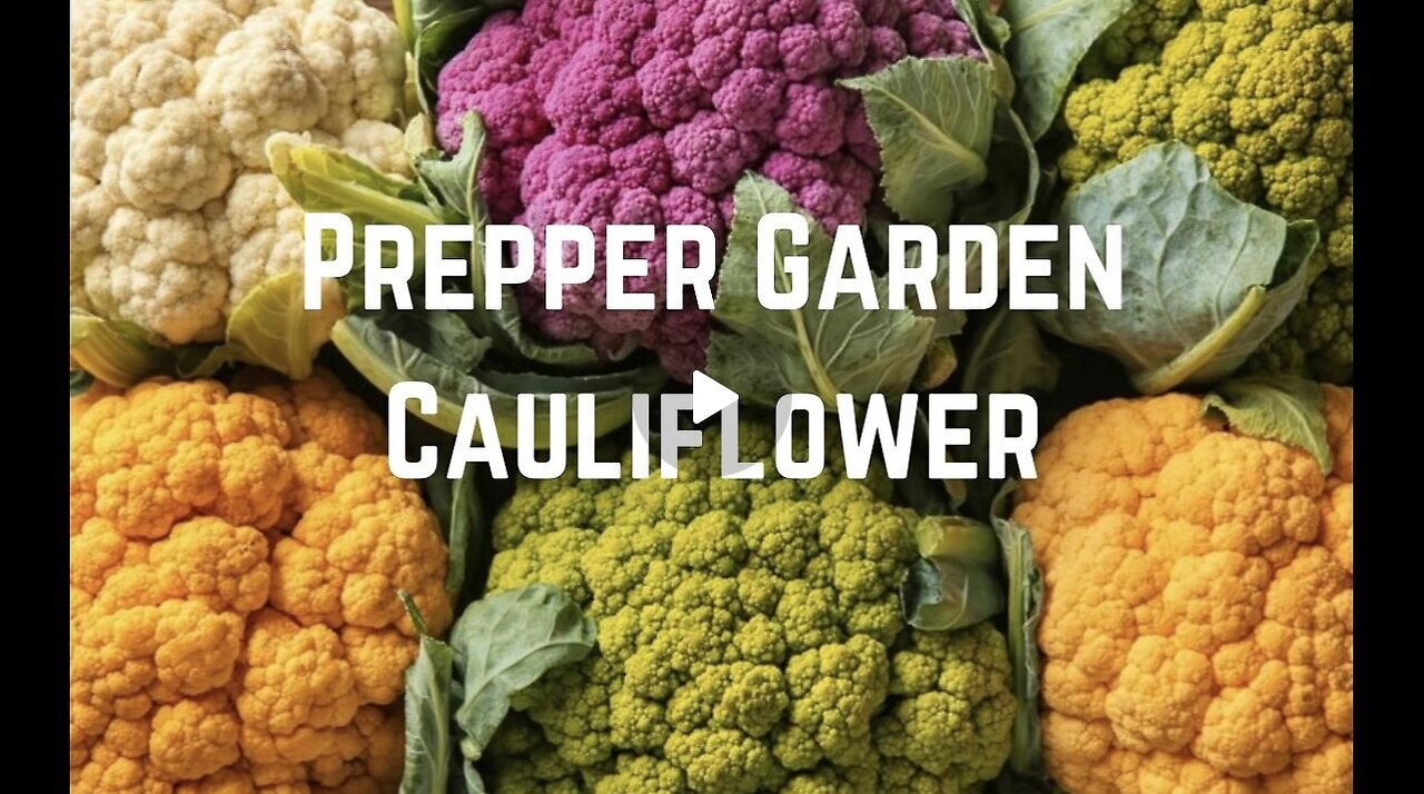 Prepper Garden: Grow Cauliflower