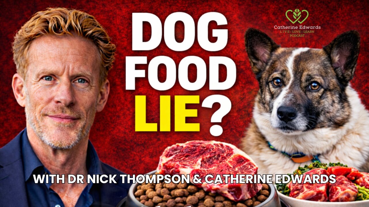 The Truth About Feeding Your Dog, It’s Simpler Than You Think | Holistic Vet Nick Thompson