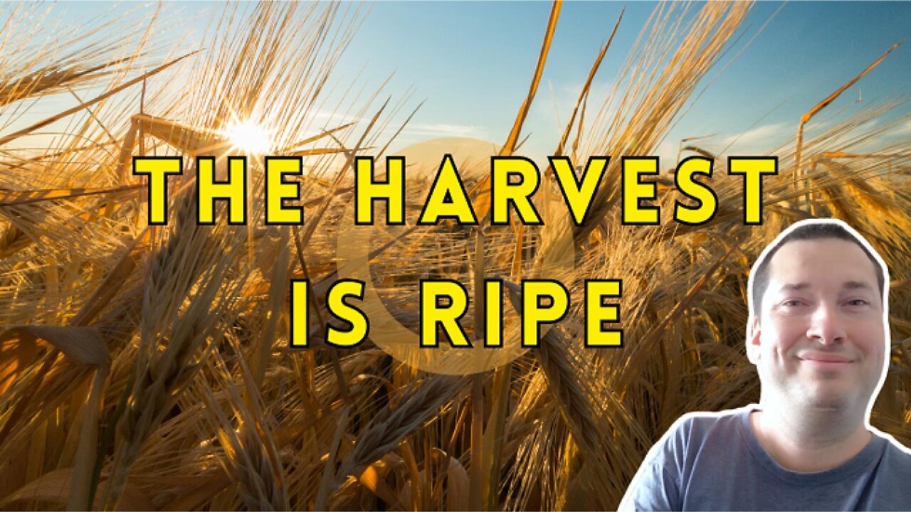 The Harvest Is Ripe: Sow the Seed (Mark 4:1–9)