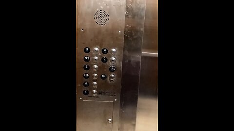 ELEVATOR SHENANIGANS