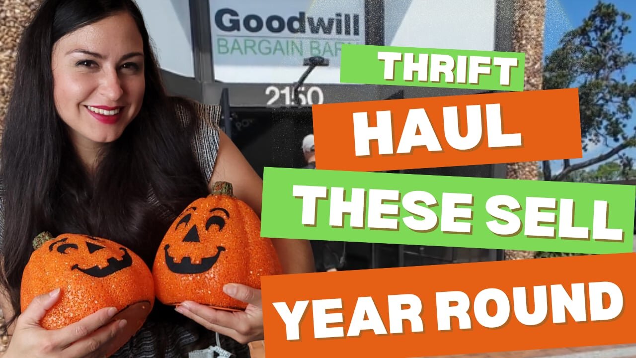 Goodwill Bins Thrift Haul! These Sell Year Round! #resellerjourney #ebayreseller #thrifthaul