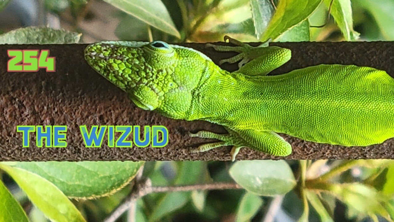 Midnight Oblivion Pt 254: The Wizud