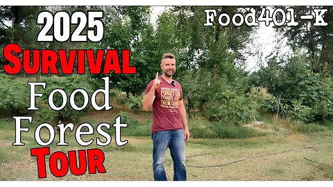 Survival Food Forrest Update Spring 2025