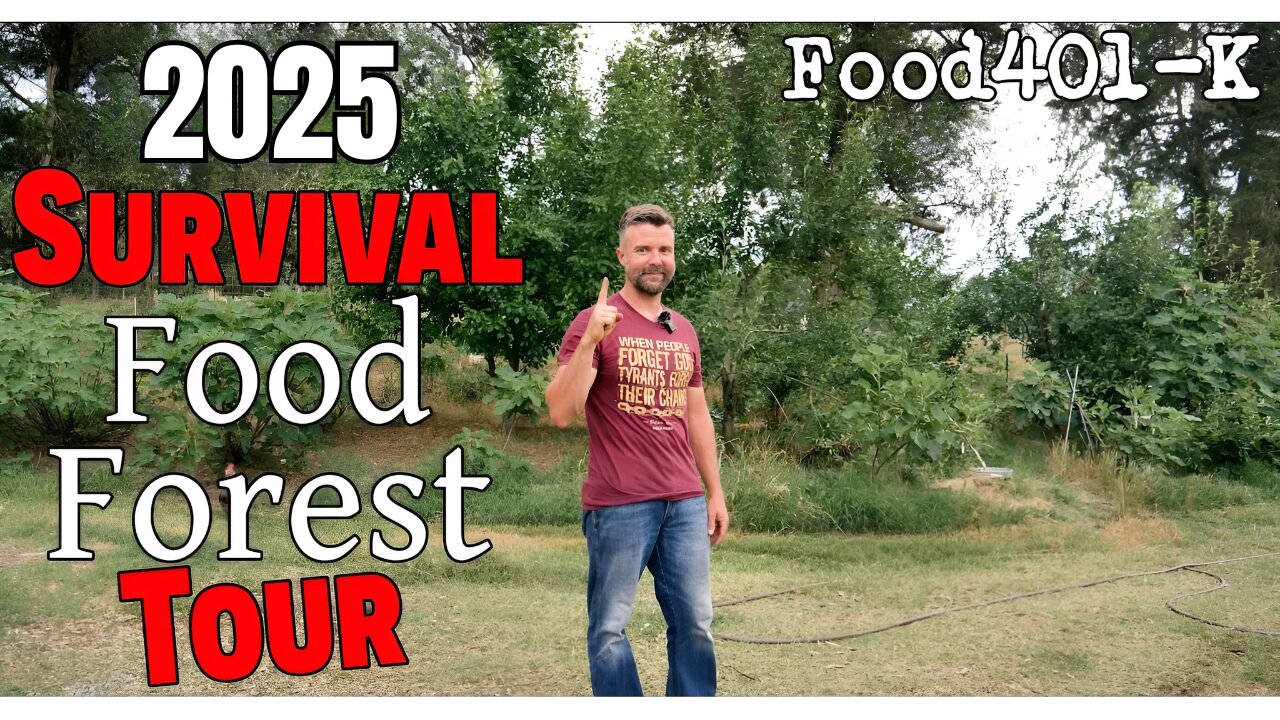 Survival Food Forrest Update Spring 2025