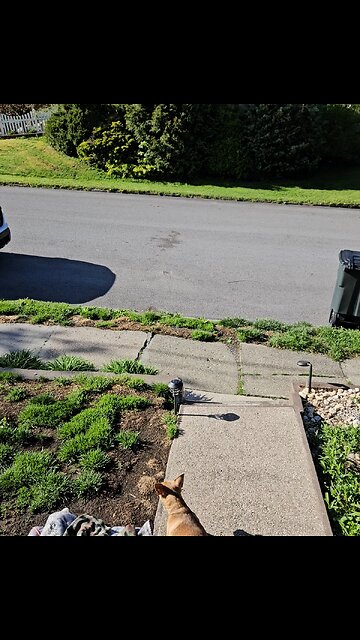 no power day after ? possible chem trails ?