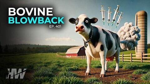"Bovine Blowback: Unpacking Episode 401 of The HighWire"