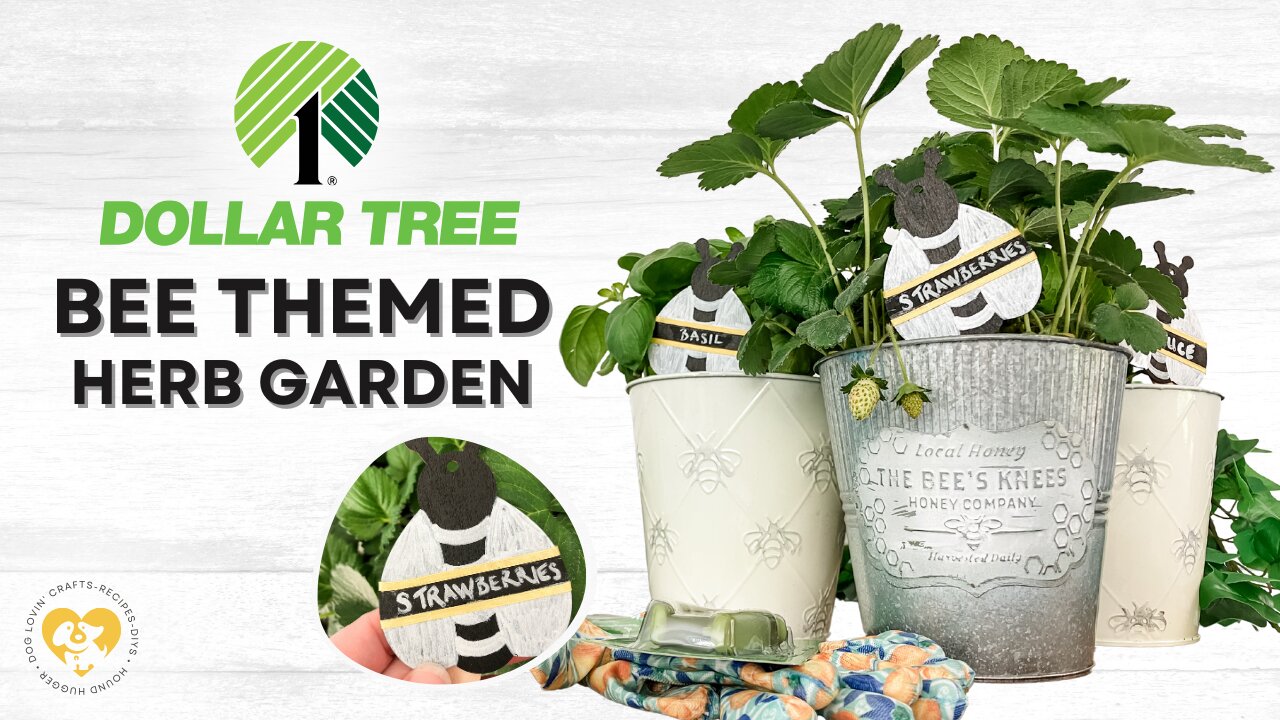 Bee-Themed Mother’s Day Herb Garden with Dollar Tree Finds! 🐝🌿