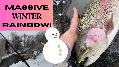 FATTEST Rainbow Trout EVER! Winter Fishing in the Snow!