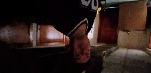 IP2 Stories - Hampton Brandon Swung On By Sonic's Gay Scottish Goon For Recording His Room