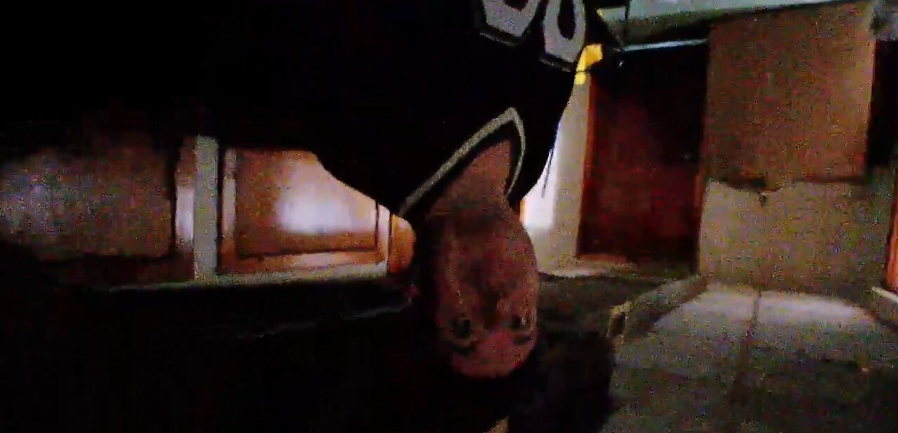 IP2 Stories - Hampton Brandon Swung On By Sonics Gay Scottish Goon For Recording His Room