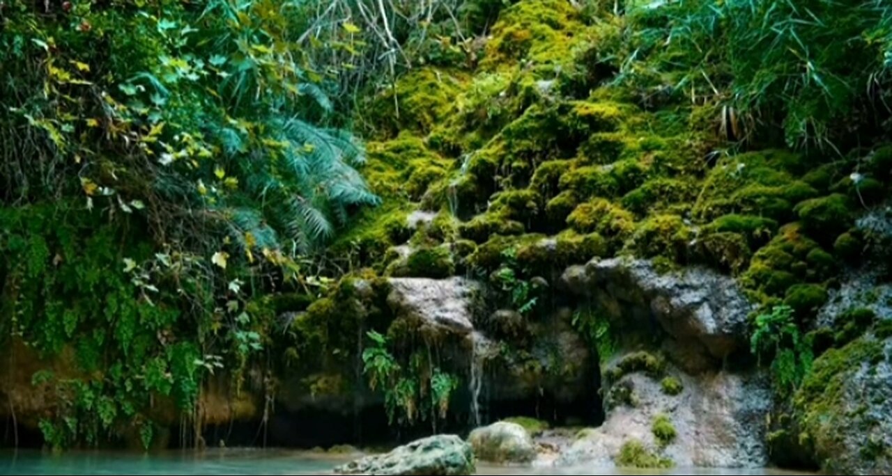 The Serene Beauty of Nature: A Relaxing Experience #samar