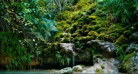 The Serene Beauty of Nature: A Relaxing Experience #samar