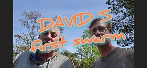 David spotted a swarm, let's help him catch it and stop more from escaping