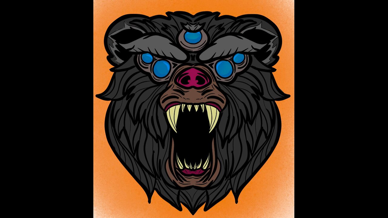 BearleifTV is on the air!!