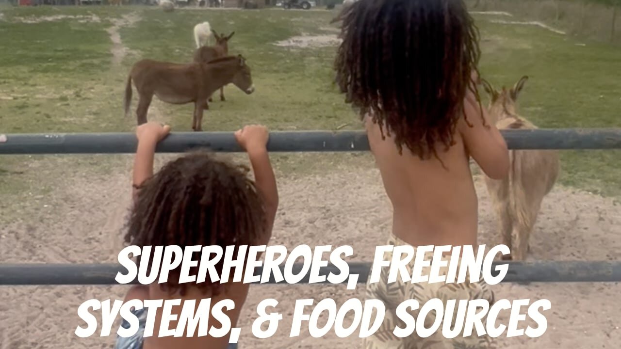5. SuperHeroes, Freeing Systems, & Food Sources