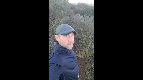 Astrology Week of Nov 23-29