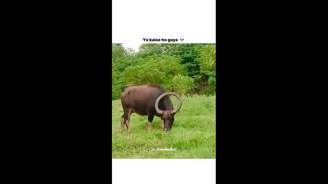 funny