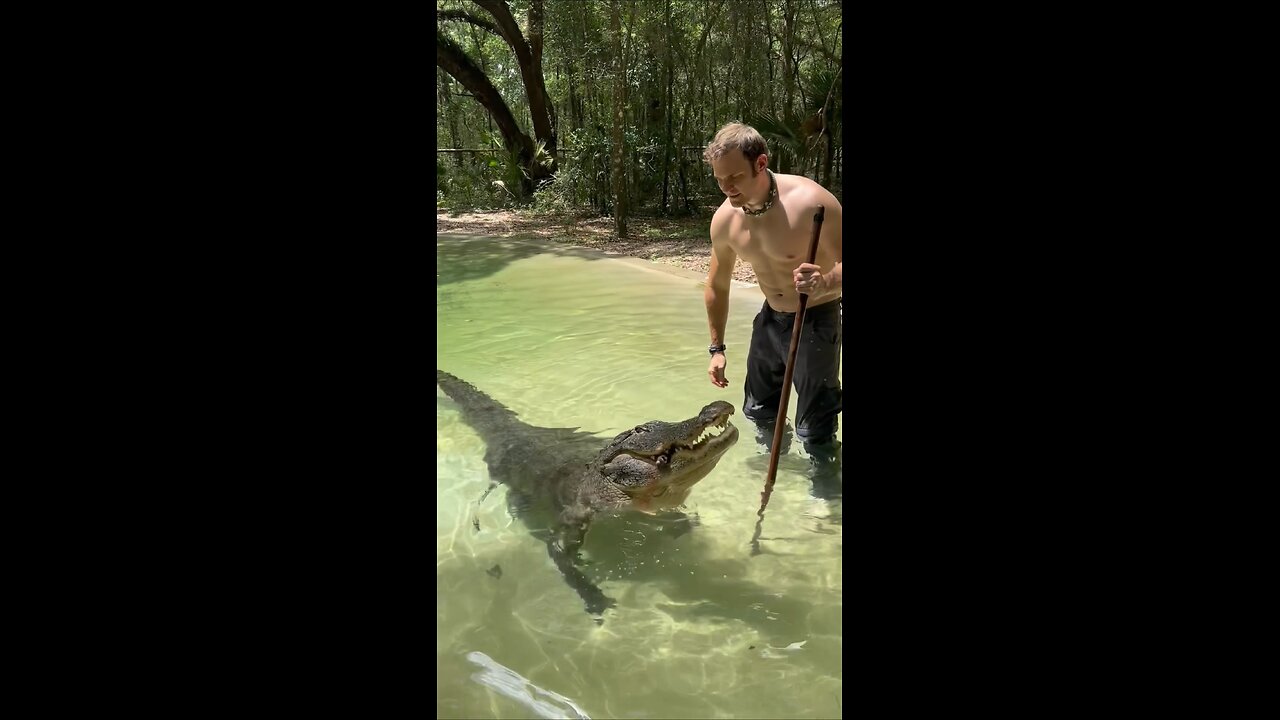 Gator training