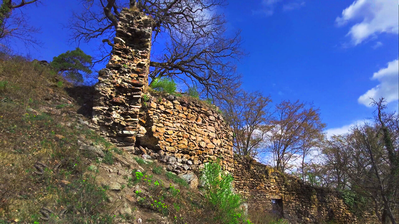To The Ruins of White Horse's Leap - ASMR Spring Walk in Nature