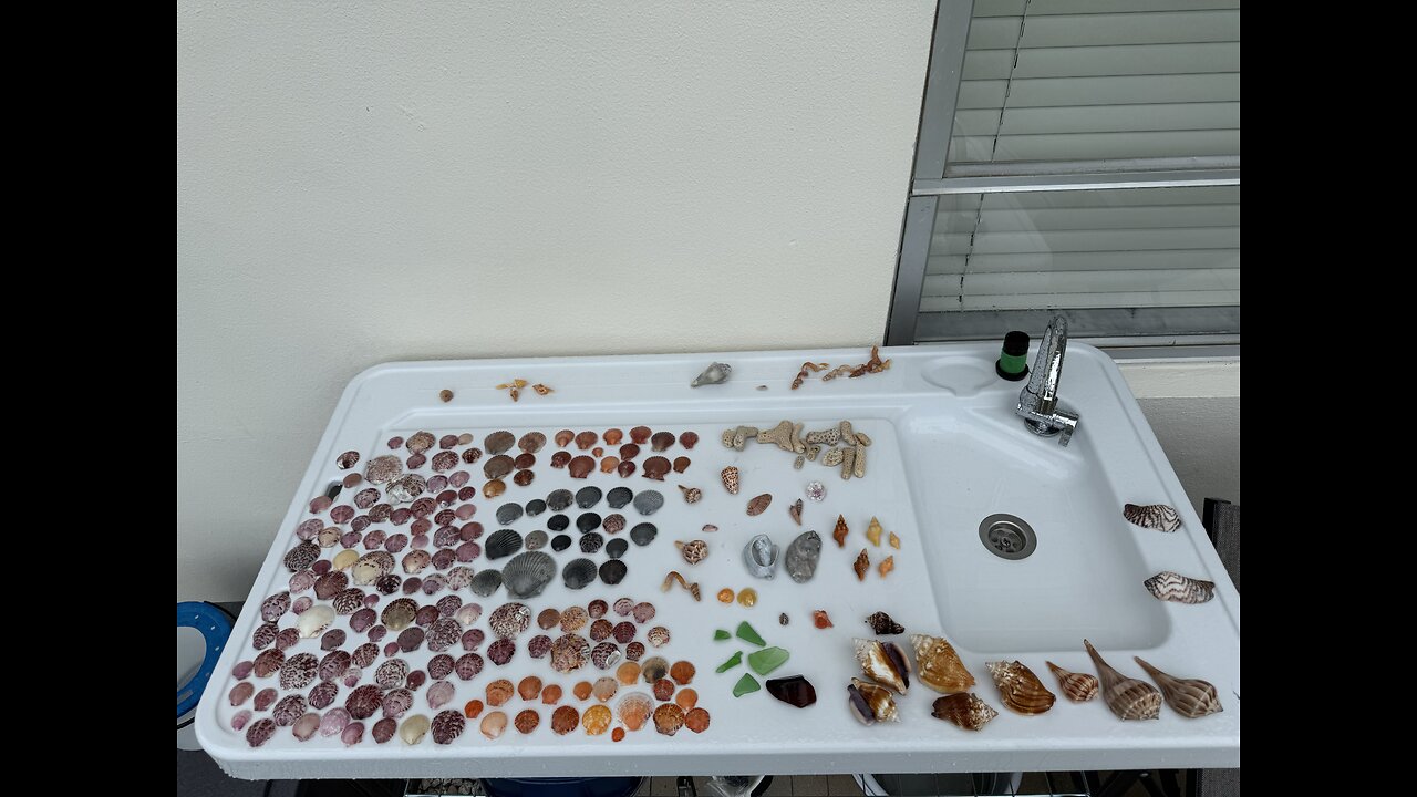 Beach Finds 6/9/2025 | 4K