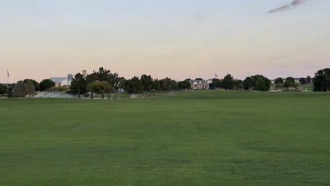 A nice day in the park