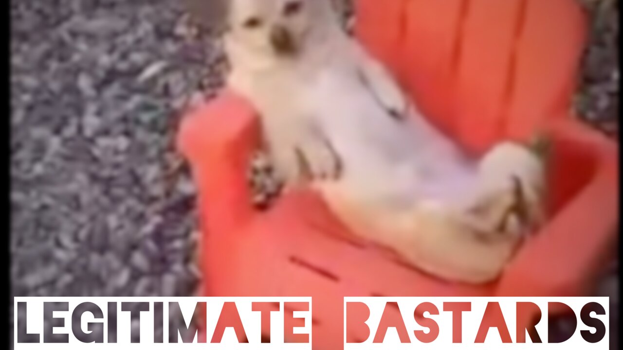 Beware of Dog