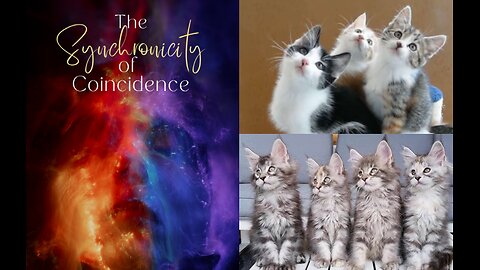NATURE'S PATTERNS - SYNCHRONICITY - NATURAL ORDER