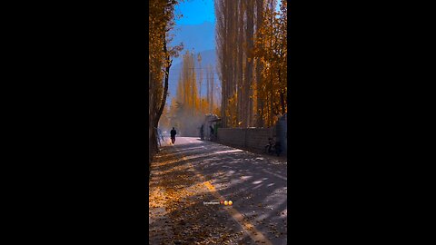 #foryoupage#viralvideo