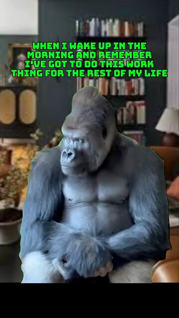 Funny meme clips 😂😂😂