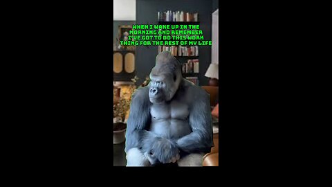 Funny meme clips 😂😂😂
