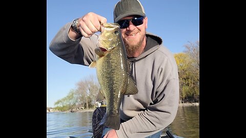 Spinner Bait catching Pike and bass.