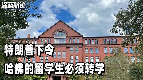 特朗普下令，哈佛的留学生必须转学，中国迎来千载难逢的机会 #世界局勢