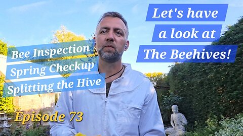 What is up with the Bees, Bee Inspection, and a free Hive (hopefully)