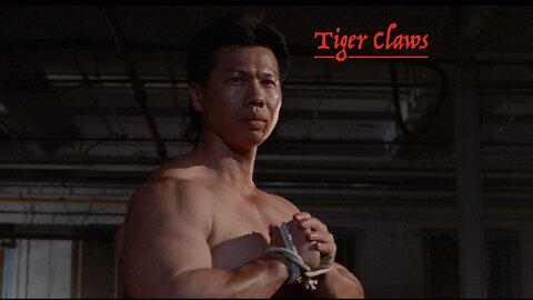 Tiger Claws Promo