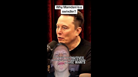 Understanding the Swindler in Politics and Capitalism