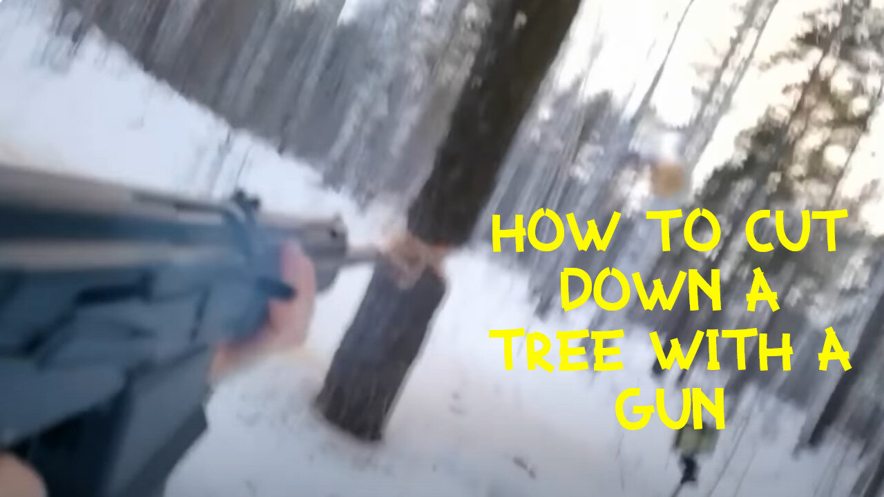 How to cut down a tree if you don't have a saw or an axe, in the wild