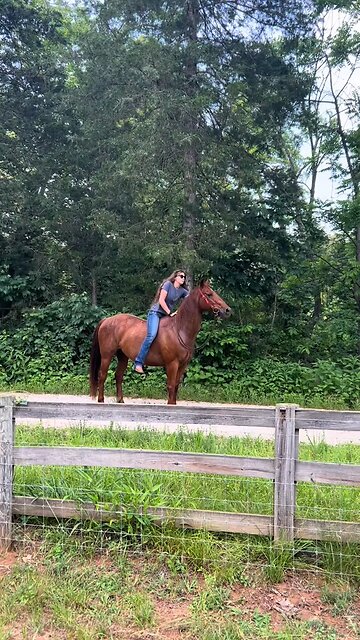 anybody else get emotional when they see horses sending it? I would like to know why
