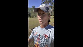 Stop overthinking your garden