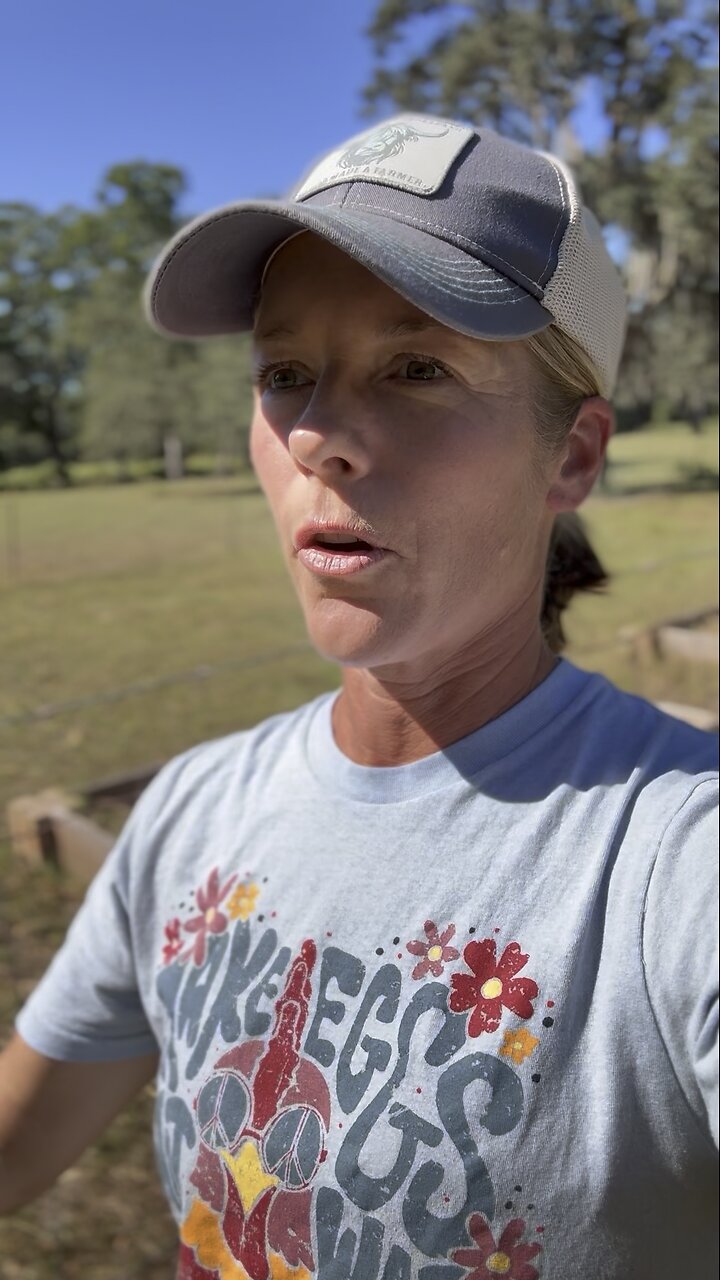 Stop overthinking your garden