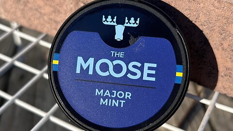 The Moose Major Mint Snus Review