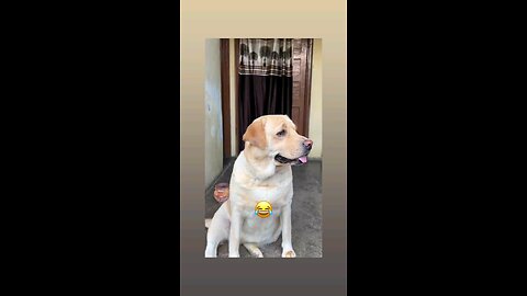 तुम सिंगल हो