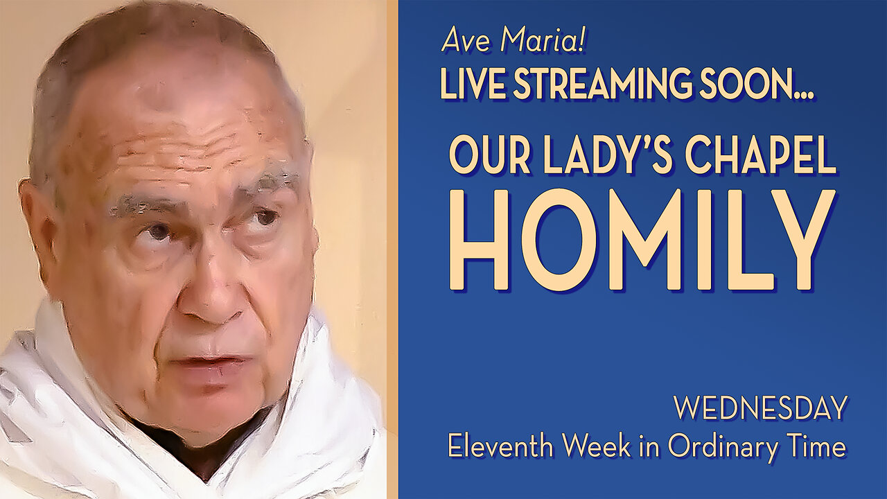 Wednesday of the Eleventh Week in Ordinary Time - June 18, 2025 - OLC HOMILY